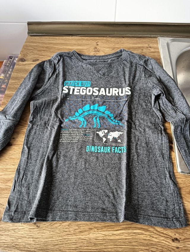 Lote de ropa niño 5 años camisetas