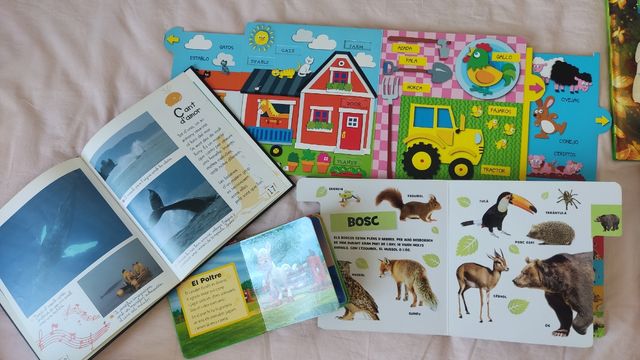 Lote libros infantiles