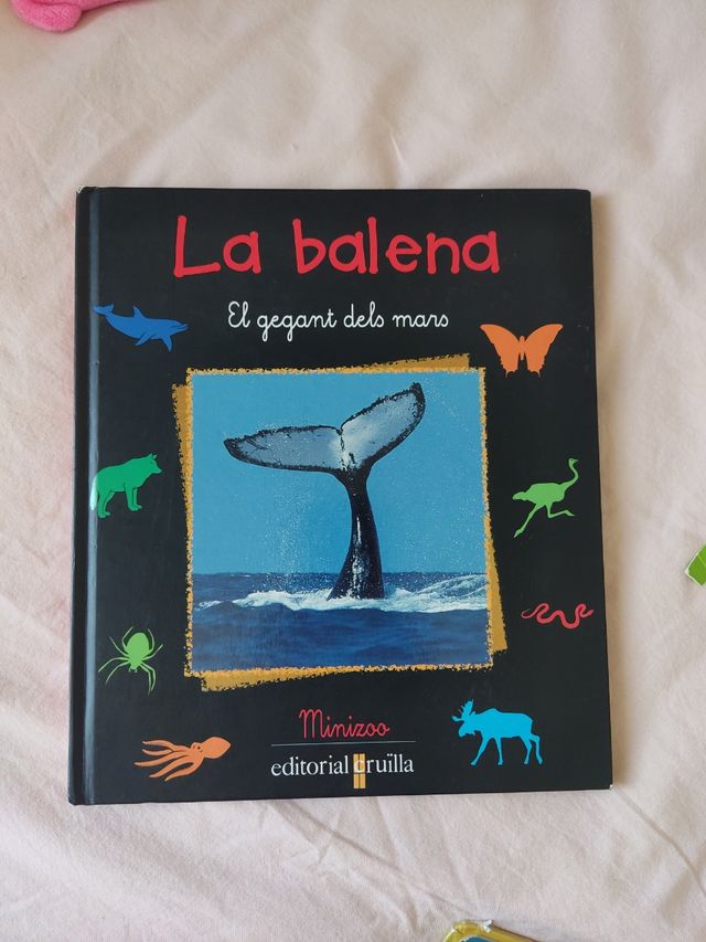 Lote libros infantiles