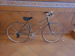 Bicicleta de PASEO