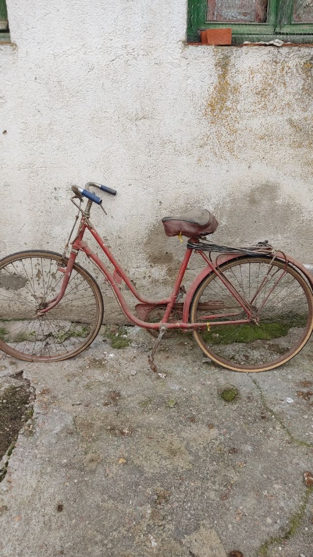 Biciclette d'epoca