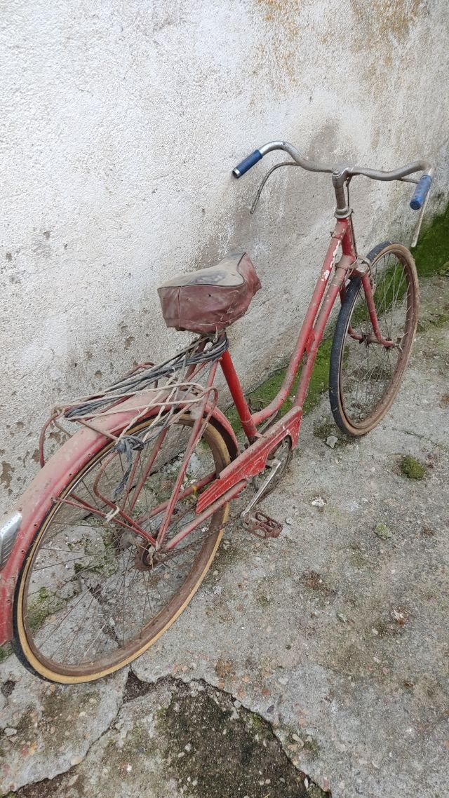 Biciclette d'epoca
