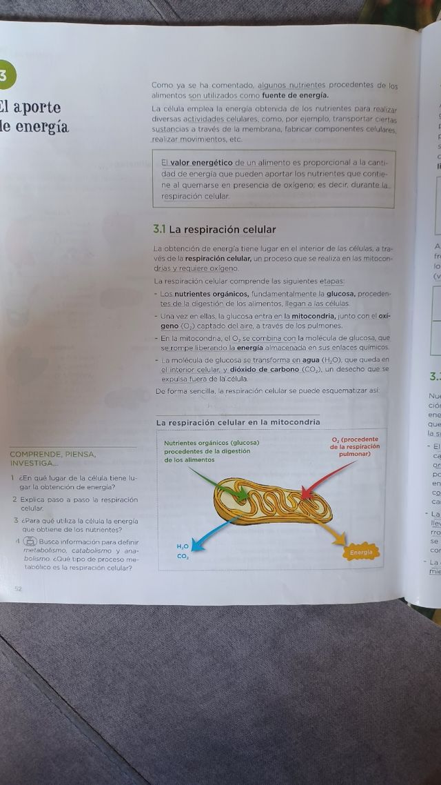 Libros de Biología y Geología 3 ESO 9788414306246