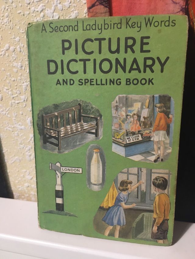 Ladybird book -DICTIONARY 1966 BOOK VINTAGE