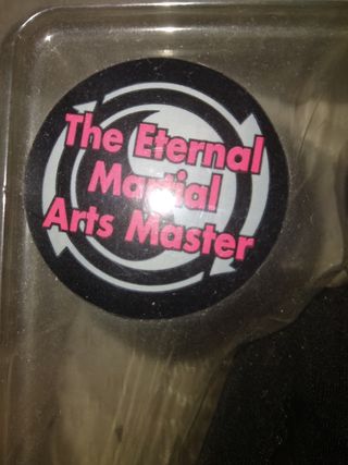 BRUCE LEE MAESTRO DE LAS ARTES MARCIALES