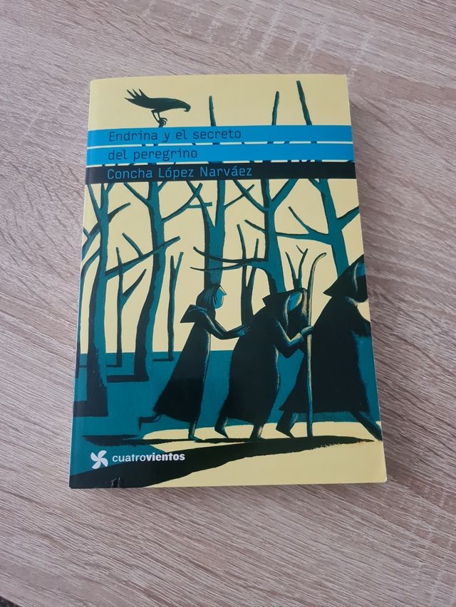 Endrina y el secreto del peregrino