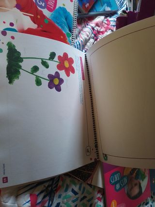 Arts and crafts 1 primaria Anaya.