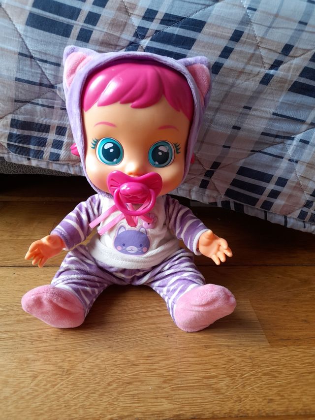 Bebé llorón gatito mayor