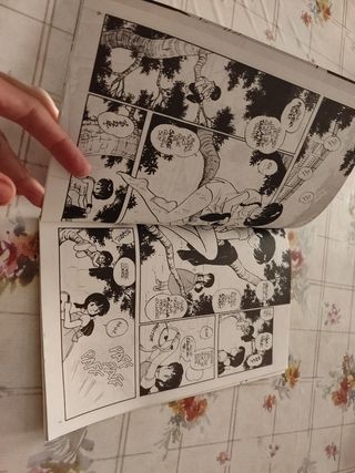 2 Comics Ranma 1/2
