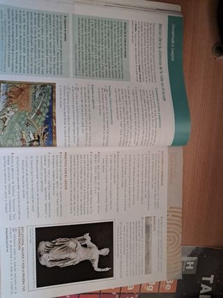 Libro Cultura Clásica Anaya 2 Eso 