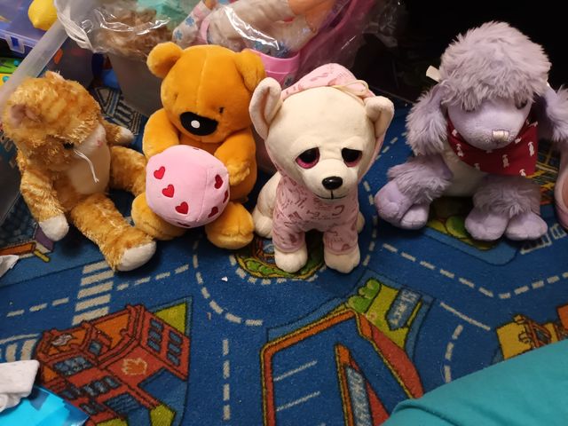 Los Peluches.Todos 10€.Estan nuevos