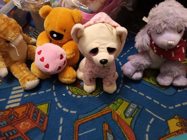 Los Peluches.Todos 10€.Estan nuevos