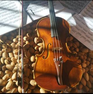 Violín