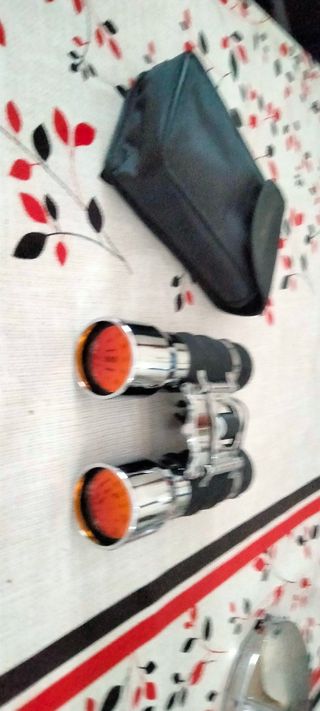 Prismáticos 