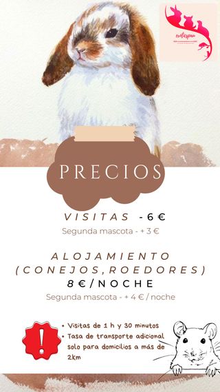 🐾Cuidadora de conejos y roedores🐰
