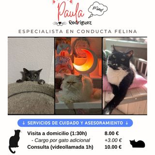 Cuidadora Especialista en conducta felina🐈⬛