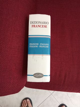 Dizionario della lingua francese