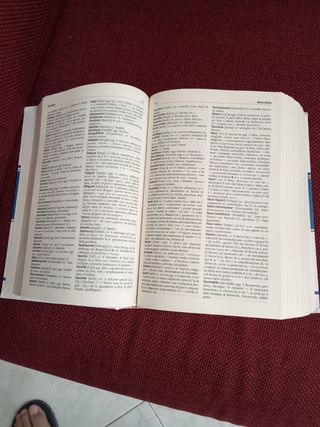 Dizionario della lingua francese