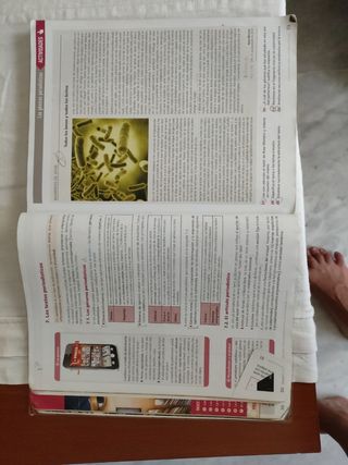 Libro de lengua 1 Bachillerato