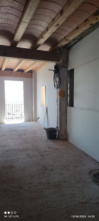 Paleta oficial de primera 