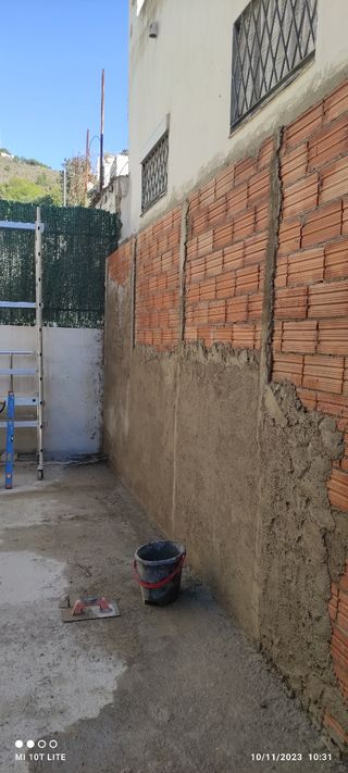 Paleta oficial de primera 