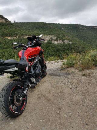 Yamaha tracer 9gt leer descripción 