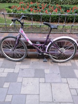 Bicicleta