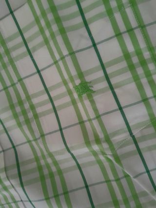 Burberry London camicia Ville