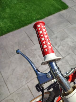 BICICLETA BMX ALZANIA 