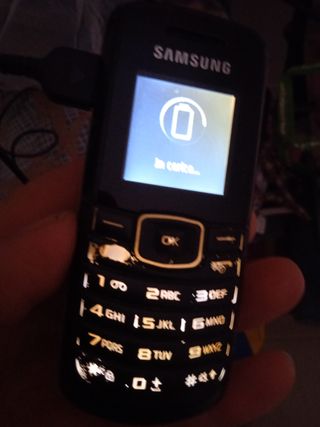 Telefonino Samsung 