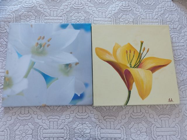 Pack dos cuadros 41x41 cm