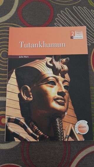 Tutankhamun libro ingles