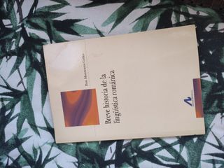 Breve historia de la lingüística romanic
