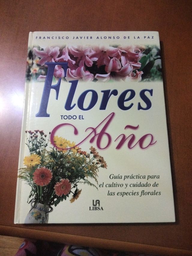 Flores