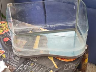 Vendo pecera acuario animales