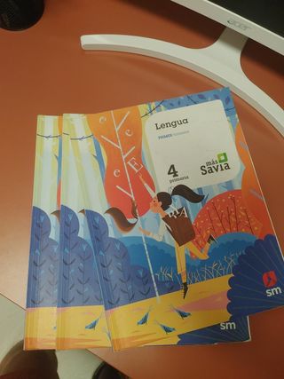 Lengua  4 de primaria SM