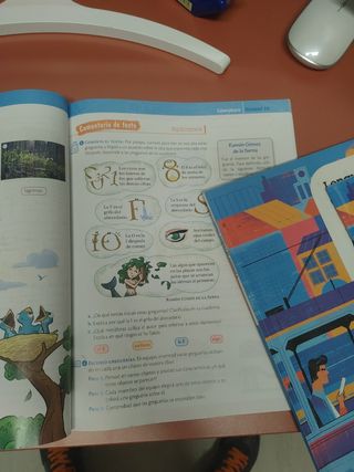 Lengua  5 de primaria SM