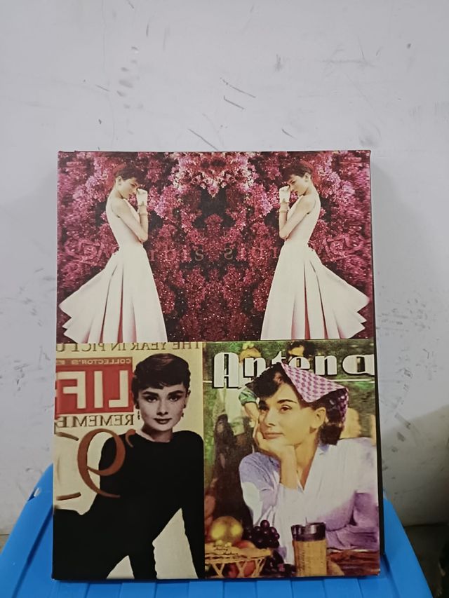 Cuadros Audrey Hepburn