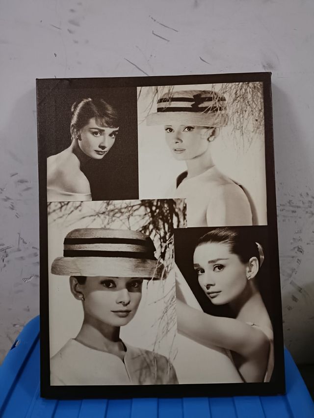Cuadros Audrey Hepburn