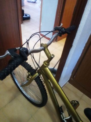 Bicicleta mediana