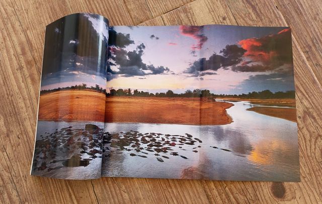 Lote de 4 Revistas National Geographic 2007