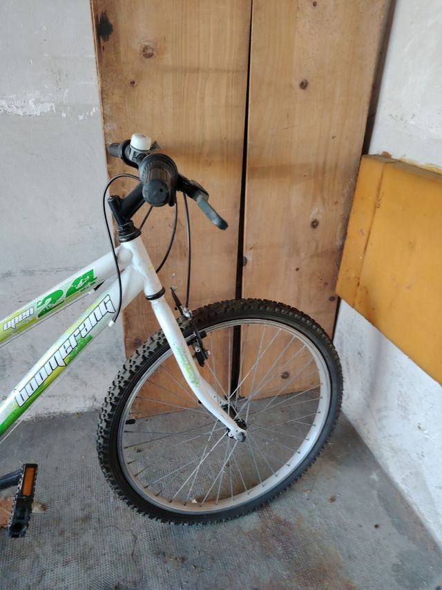 Bicicleta