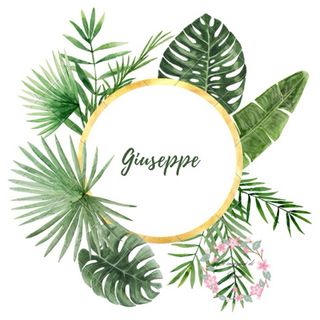 Grafiche per biscotti