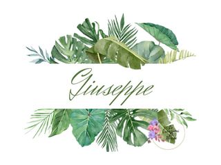 Grafiche per biscotti