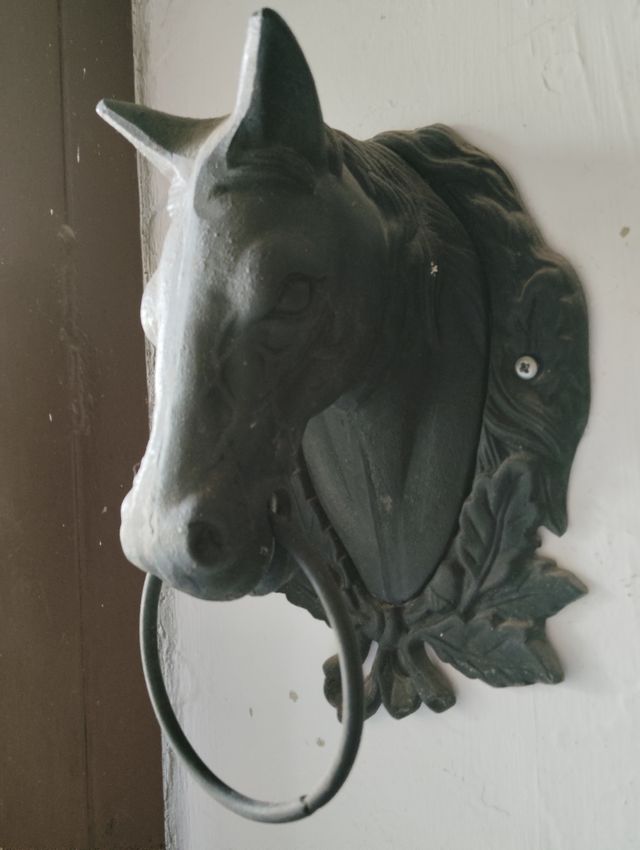 Albadón caballo anilla A410