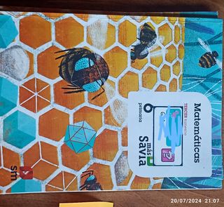 Libros texto 6° primaria