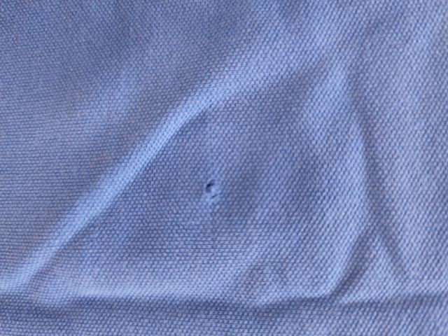 Polo multicolore C&S