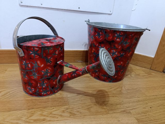 CONJUNTO REGADERA Y CUBO DECORATIVO 