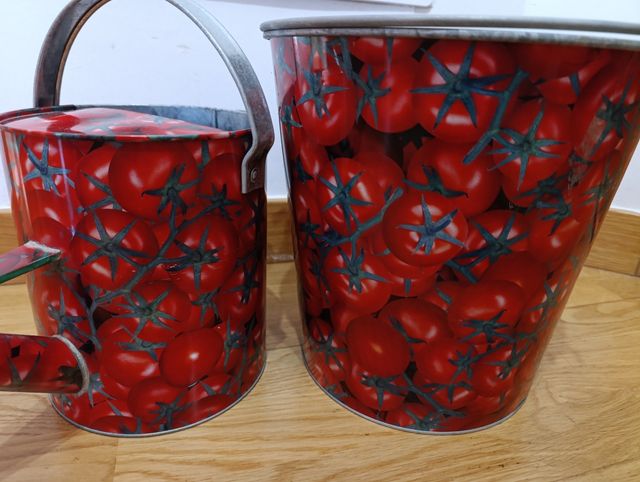 CONJUNTO REGADERA Y CUBO DECORATIVO 