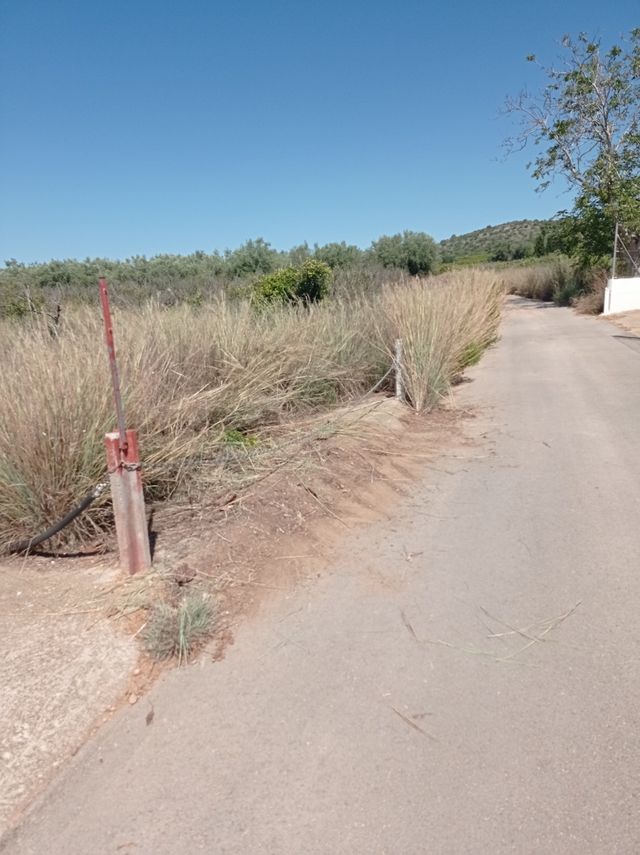 Finca de regadío en camino dels barranquets 3